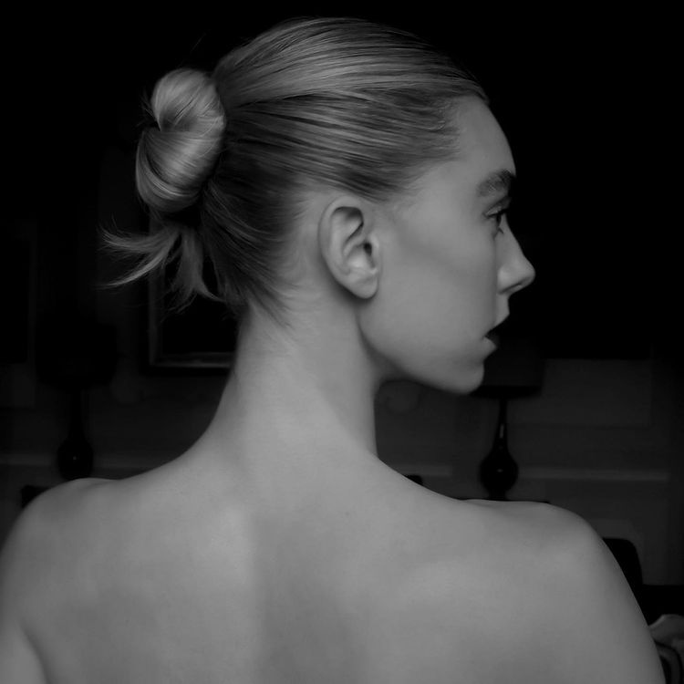 1_2816829.jpg